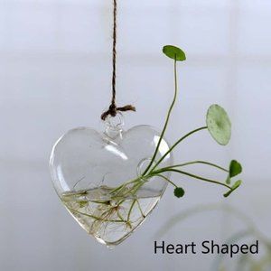 HANGING GLASS PLANT VASES
